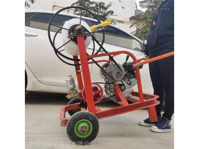 高射程柑橘树打药机 园林树木远程打药机 菜地果园灭虫喷雾器图1