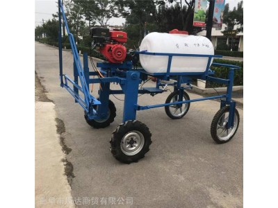 四轮带打药机 果园小型弥雾机 手提轻便四轮打药机图1