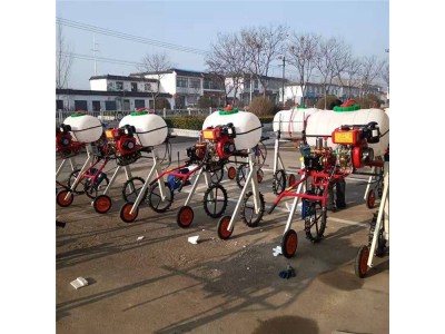 汽油手推式轮距可调打药机宽喷幅喷杆自走式喷药机图1