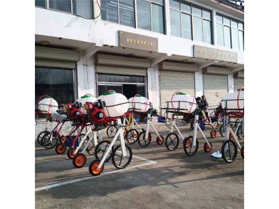 农用汽油自走式打药机 宽喷幅折叠喷杆喷药机图1