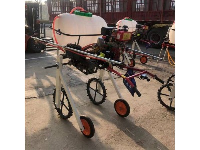 宽喷幅自走式打药机 汽油手推式喷药机图1