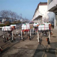 手推式西蓝花打药机 多档位轮距可调 自走式宽喷幅农田植保机