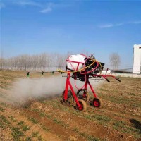 农用自走式宽喷幅打药机 轮距可调手推式喷药机