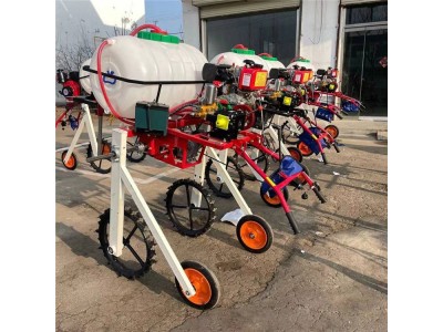 手推式汽油宽喷幅打药机 自走式菜地喷药机轻松图1