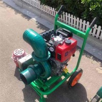 汽油手推式抽水泵 小型家用浇灌自吸泵 大流量排水离心泵