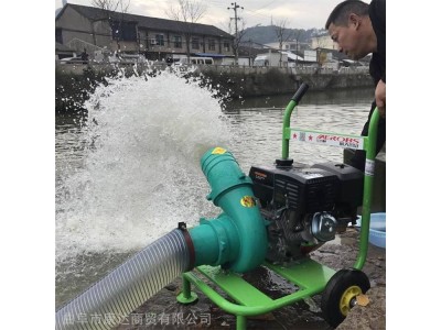 强自吸柴油抽水泵机水泵防汛抢险水泵 防洪抗灾管道泵图1
