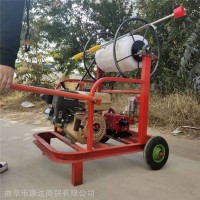 自走式手推打药机 园林果树农用打药机 小型推车式喷雾机