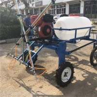 高效手推式果园四轮打药机 四轮大容量高压打药机