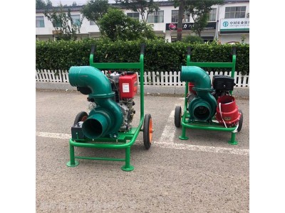 汽油手推式6寸离心泵小型框架式消防泵  柴油抽水泵图1