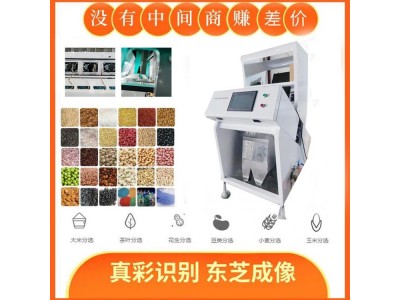 玉米小麦色选机 多功能大型筛选机销售点 玉米选色选机图1