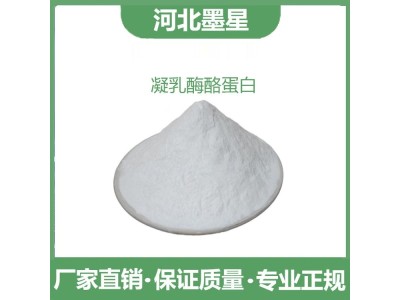 新西兰食品级凝乳酶酪蛋白 NZMP/RC 营养强化剂图1