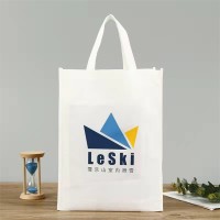 手提袋 无纺布袋礼品广告银行地产宣传印刷免费设计