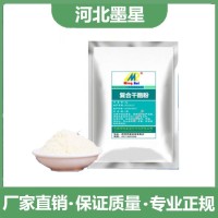 复合干酪粉 乳脂肪≥20% 奶茶奶酪奶糖等食品用 墨星