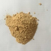 食品级 大豆磷脂油 营养强化剂 含量99%改性磷脂粉末