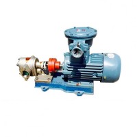 不锈钢高温齿轮泵 螺杆泵齿轮泵 循环齿轮泵