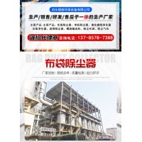 银座沥青拌合楼破碎单机除尘器 布袋式除尘设备过滤效率高