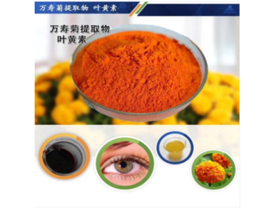 叶黄素酯 天然万寿菊提取物图1