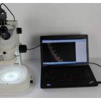 金相显微镜SA-645S连续变倍体视显微镜