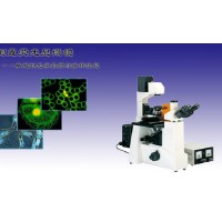 显微镜DXY-1倒置荧光显微镜生物显微镜