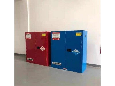 双瓶气瓶柜 化验室气瓶柜 小型气瓶柜图1