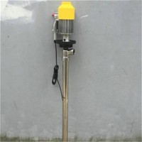 电瓶抽油泵 电动输油泵 手持式电动抽油泵货号H0401