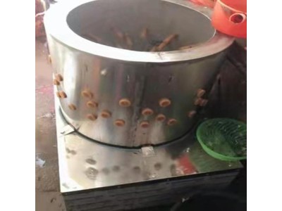 鸽子脱羽机 鸡用脱毛机 猪脱毛机货号H0838图1