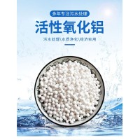 金海滩工业除氟剂 废水污水处理活性氧化铝球