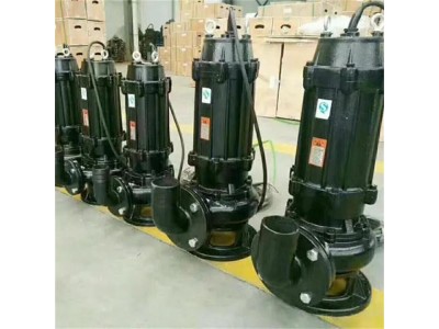 撕裂式潜水排污泵 防爆潜水污水泵 大流量潜水排污泵图1