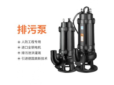 自动搅匀排污泵 大型潜水排污泵 潜水排污泵图1