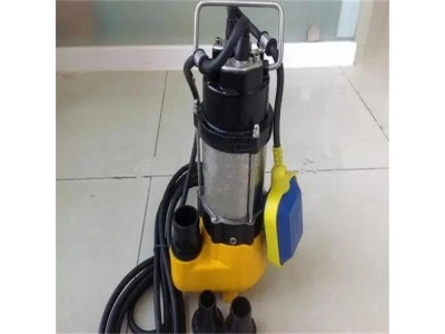 温泉潜水泵 小型全自动潜水泵 潜水泵用管子图1