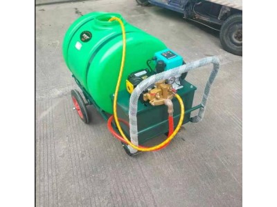 手动喷雾器 农药喷雾器 小型喷雾器图1
