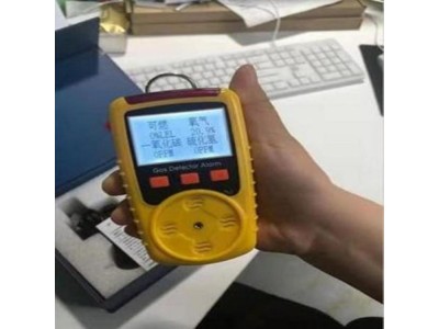 KP830J环氧氯丙烷带柔性探杆气体检测仪图1