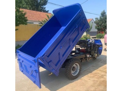 22马力小型柴油三轮车 农用运输车 动力强劲工矿三马子图1