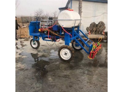 玉米蔬菜喷杆_四轮打药机自走式小麦玉米蔬菜喷药机图1