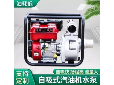 汽油自吸泵， 上水快， 4寸汽油排水泵图1