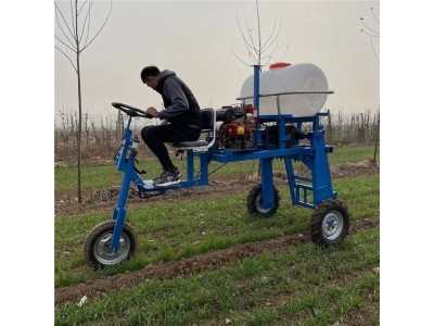 自走式小四轮喷药机打药机 蔬菜喷经机，三轮打药机图1