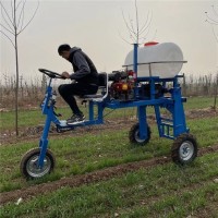 喷药机， 小型四轮打药机，水冷15马力喷药机