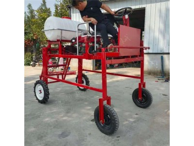 高度1米小型玉米打药机 自走式三轮的药材喷药机图1