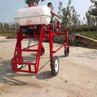 蔬菜自走式四轮打药机 小型柴油喷药机高度1米15马力喷雾器