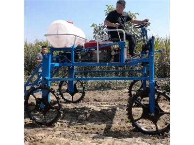 三轮乘坐式喷药机 蔬菜打药机核桃园柴油风送式图1