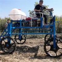 三轮乘坐式喷药机 蔬菜打药机核桃园柴油风送式