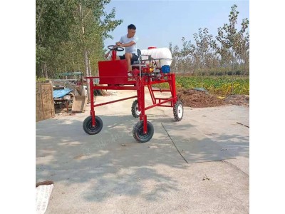 小麦喷药机玉米打药机自走式三轮打药机，图1