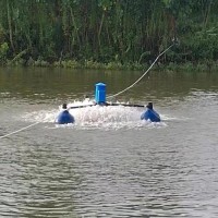 增氧机浮船浮球 增氧机塑料浮球 塘用增氧机浮球