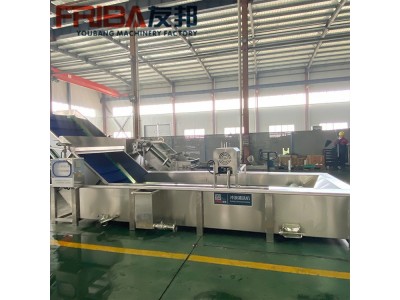全自动气泡清洗机 杨梅水果蔬菜清洗学校食堂商用设备图1