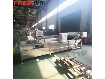 气泡喷淋式清洗机 番茄全自动果深加工流水线图1