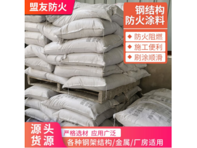 桥梁防腐底漆 鑫盟友 铁路公路 隧道防火涂料 附着力强图1