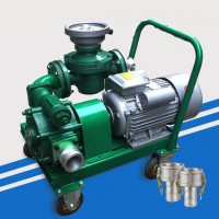 甲醇计量加油泵 便携式电动加油泵 直流柴油加油泵