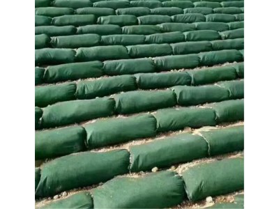 山体复绿工程 生态植被袋 植草袋边坡护理图1