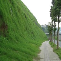 客土喷播 道路边坡绿化恢复 艺博生态 植草挂网喷浆