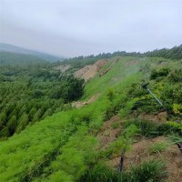 矿山修复喷播 艺博 地质环境治理 草籽喷播绿化